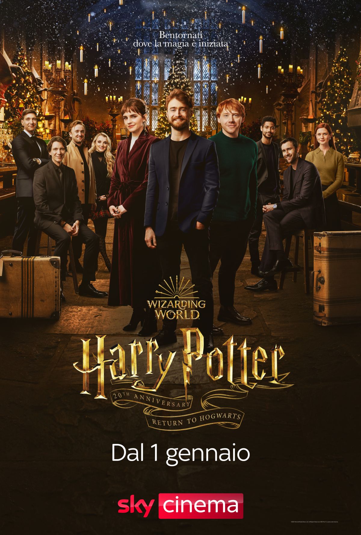 Harry Potter, i protagonisti nel poster della reunion