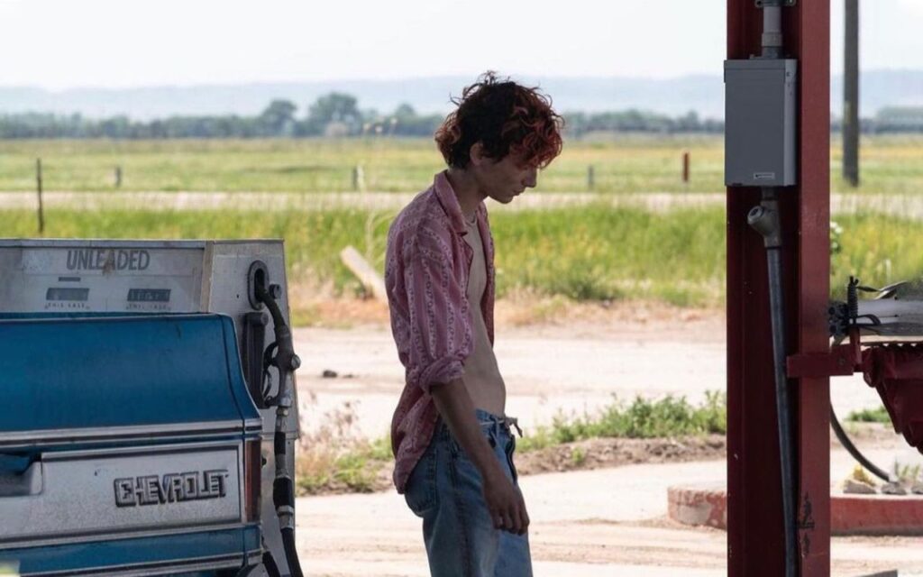timothee chalamet in un'immagine di bones and all