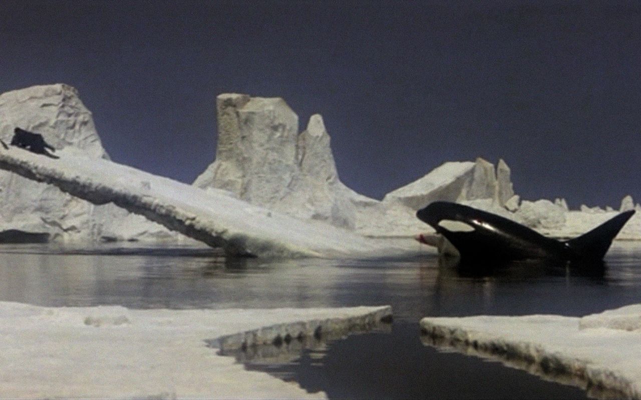 Una scena di L'orca assassina