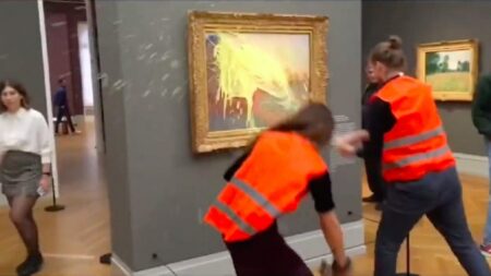 Fotografia che raffigura un quadro di Monet colpito dagli attivisti per il clima