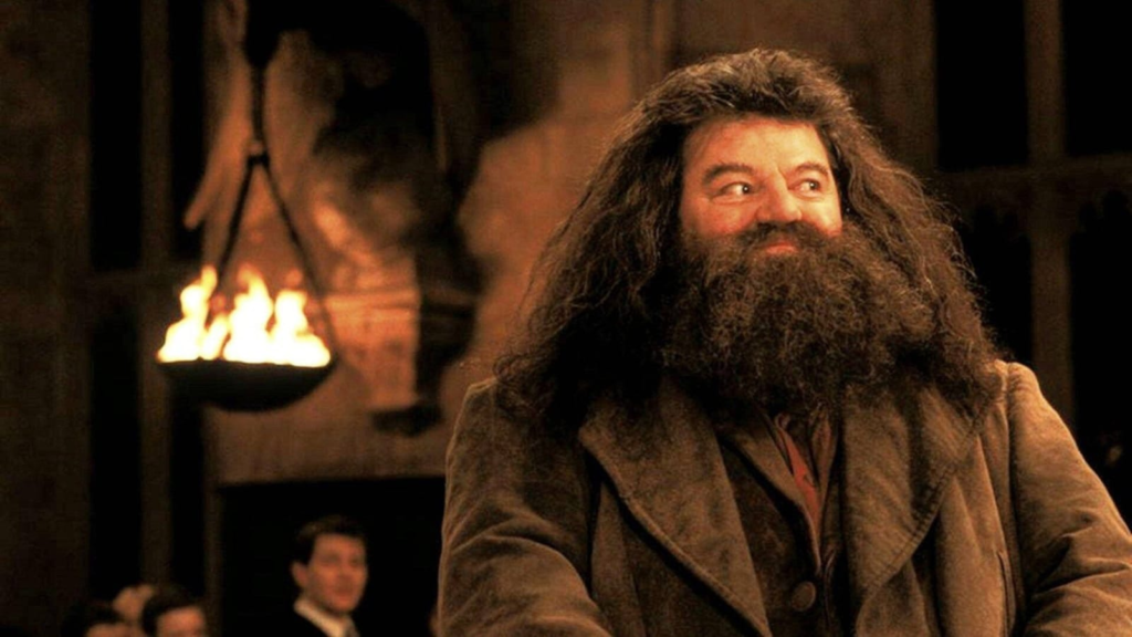 Un celebre frame di Hagrid