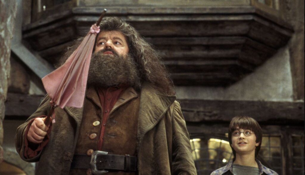 Hagrid e Harry tra le strade di Diagon Alley