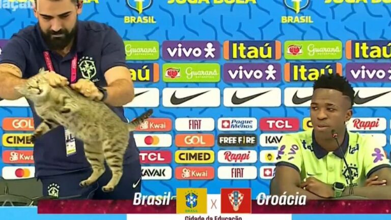 Addetto Stampa Brasiliano lancia gatto in Qatar