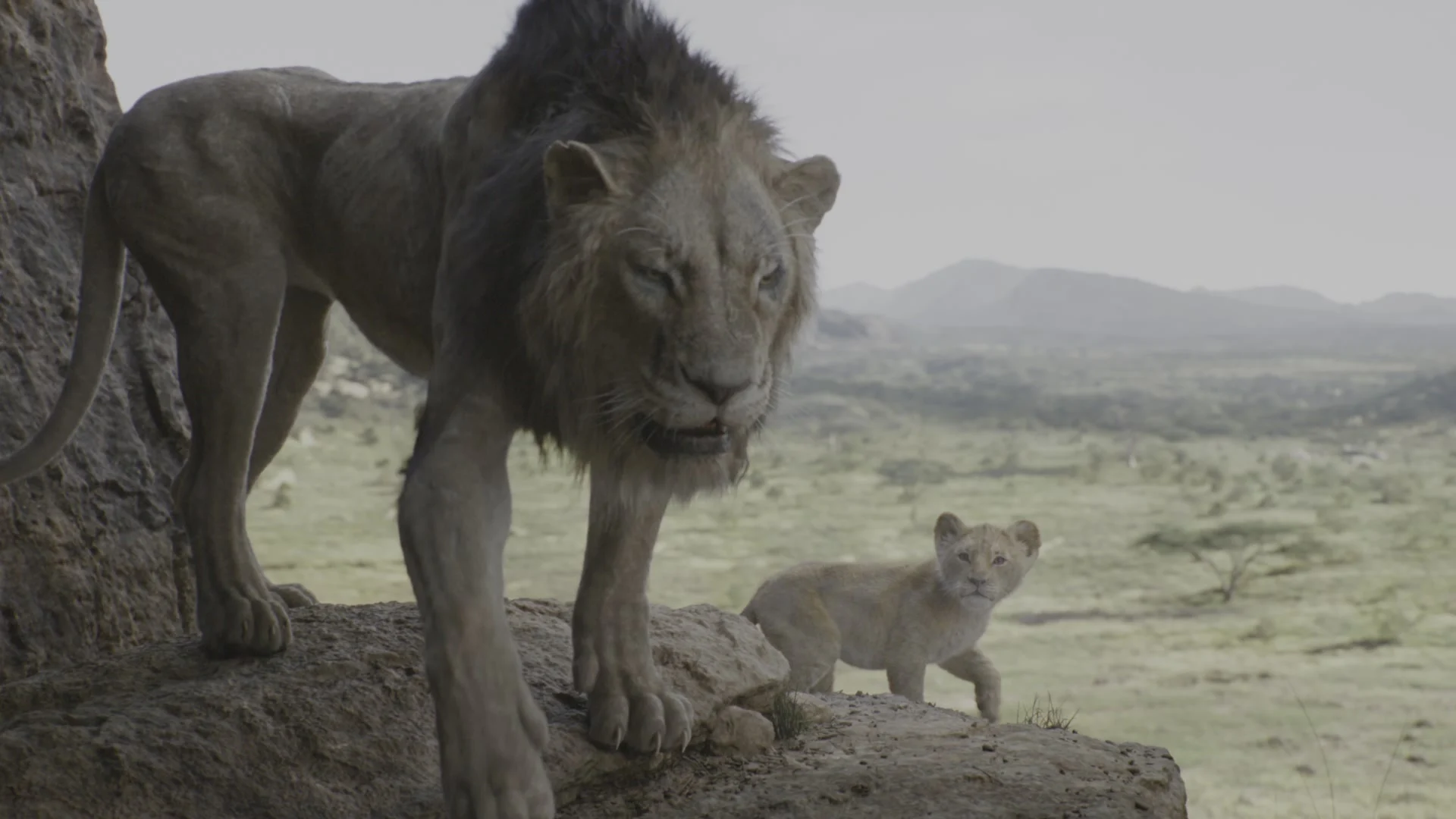Una scena de Il re leone