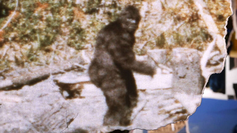 Un'immagine di Bigfoot