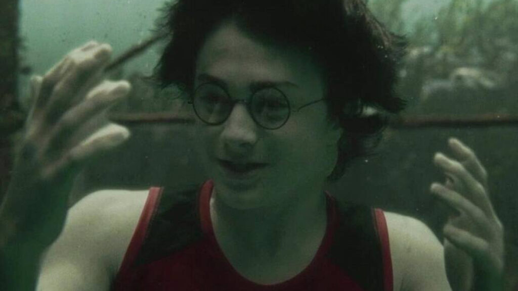 Harry Potter e il calice di fuoco Daniel Radcliffe