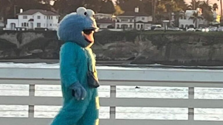 Uomo vestito da Muppet a Santa Cruz
