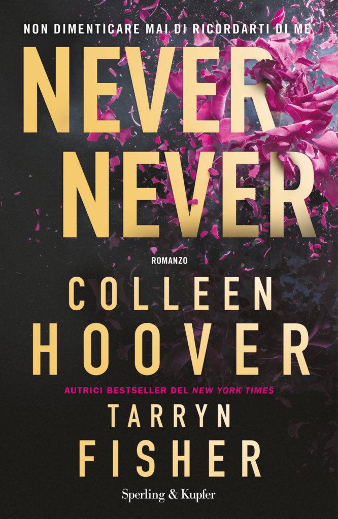 copertina del romanzo never never