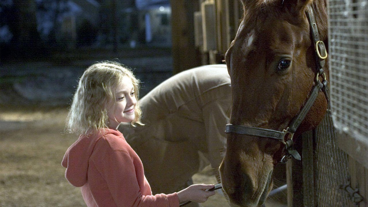 Una bambina che accarezza un cavallo