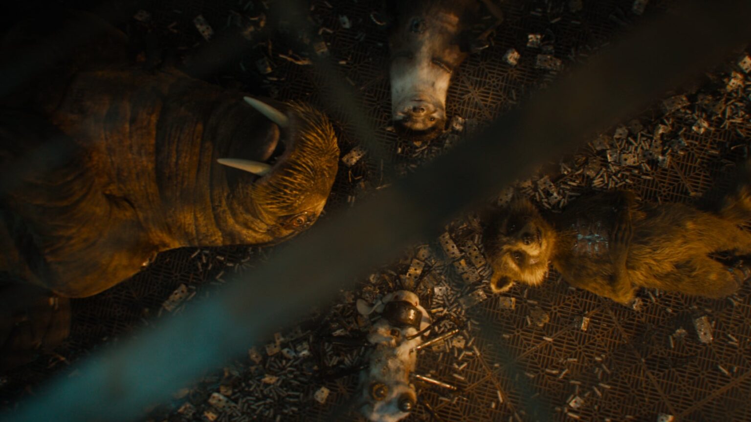 un'immagine di guardiani della galassia vol. 3