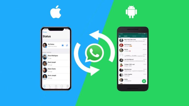 Whatsapp su Iphoe e Android