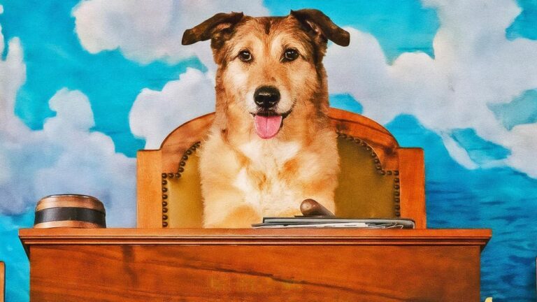 Dog on Trial teaser poster