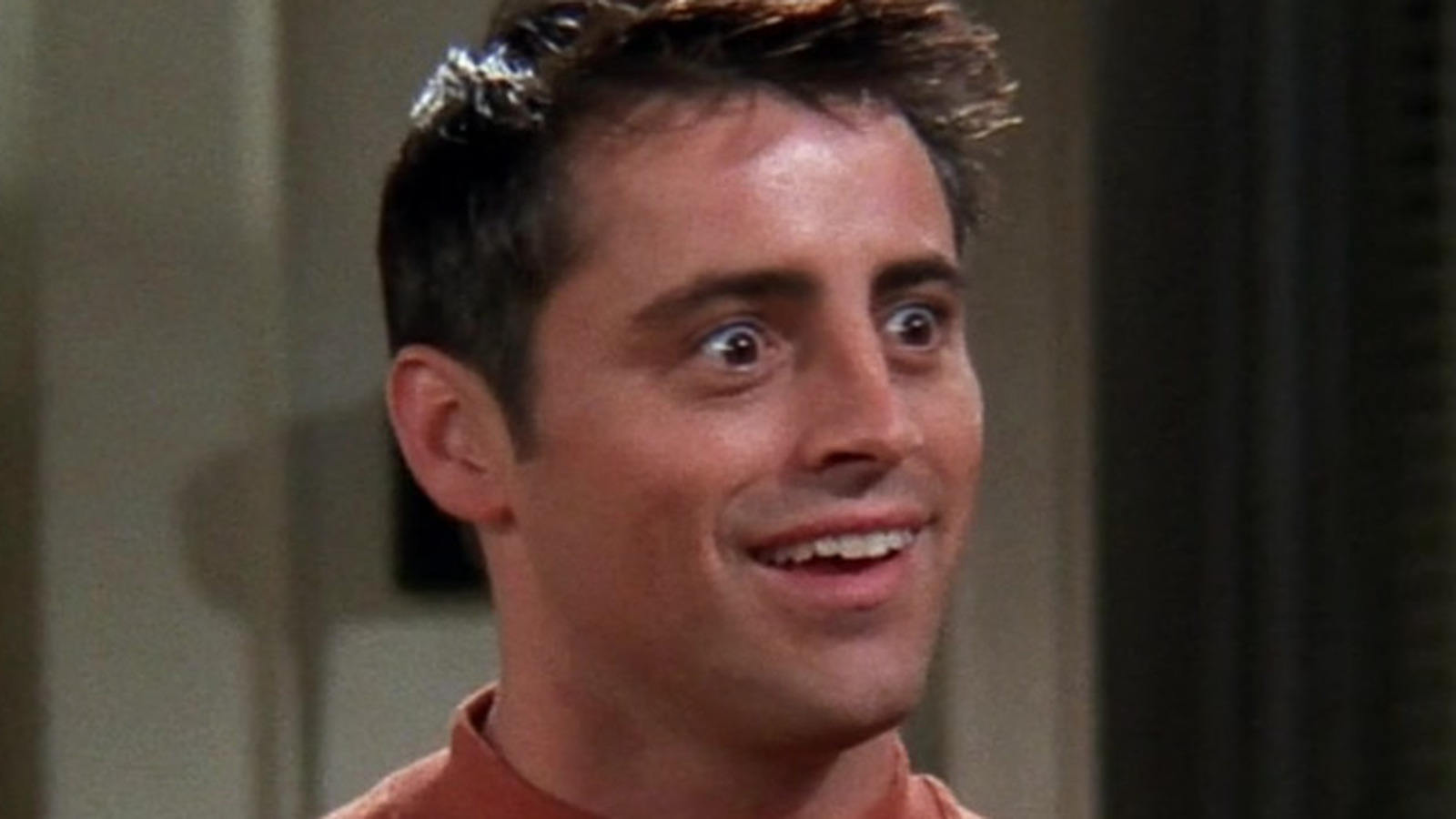 Matt LeBlanc è Joey in Friends