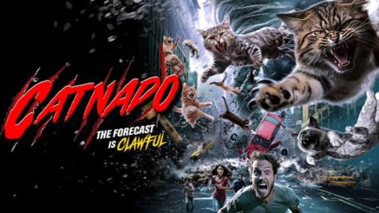 poster catnado