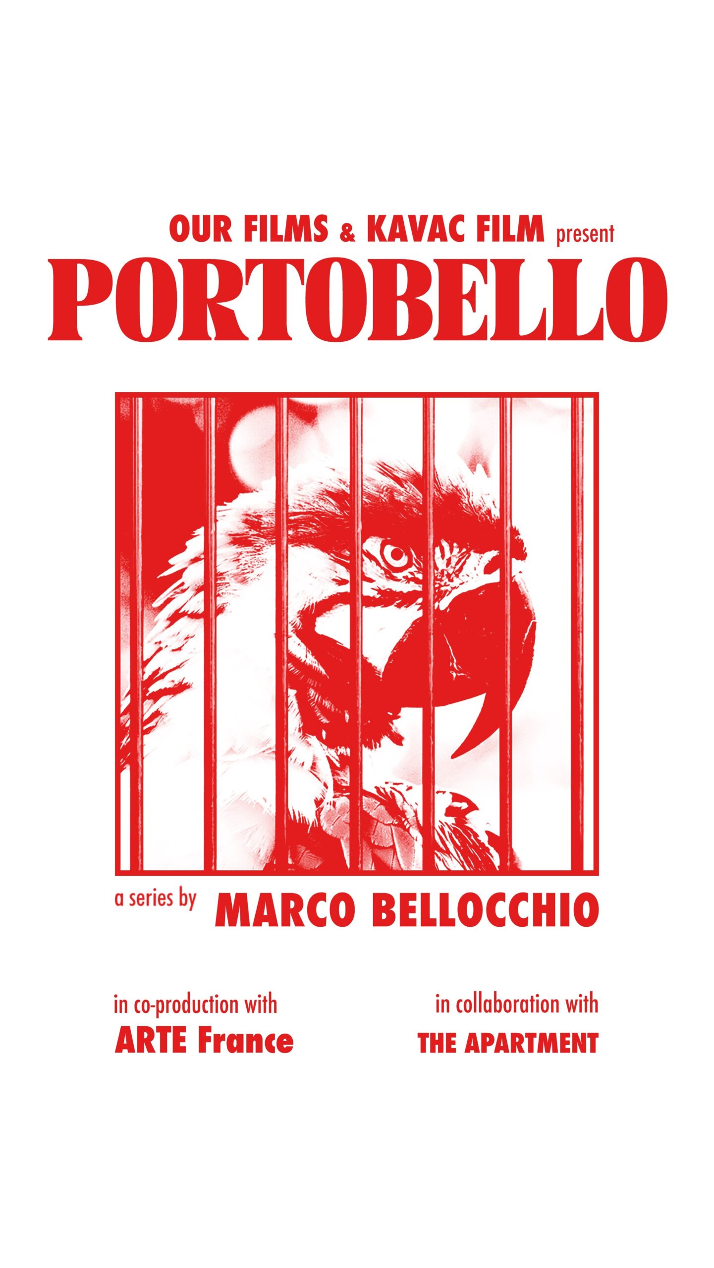 La card ufficiale di Portobello