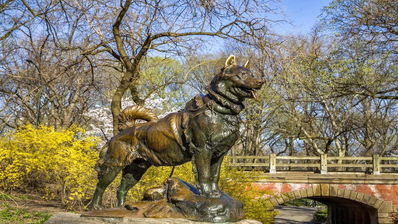 La statua di Balto a Central Park 