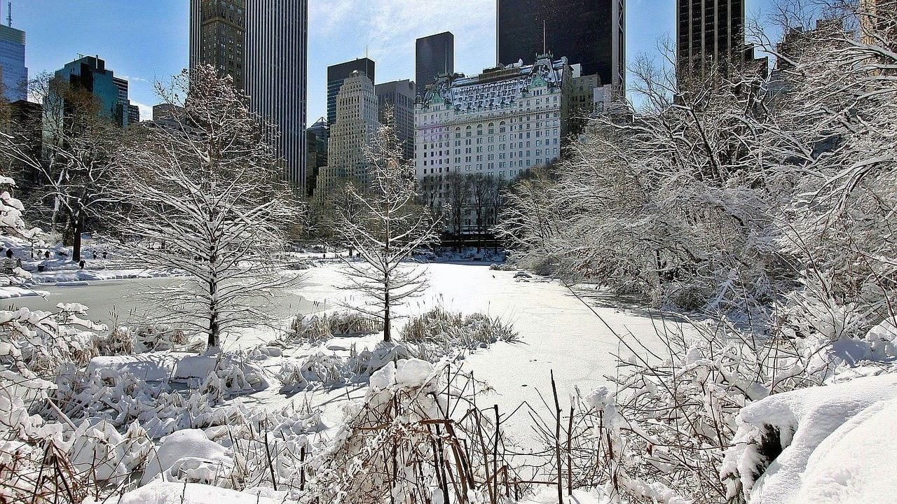 Central Park ricoperto di neve in inverno