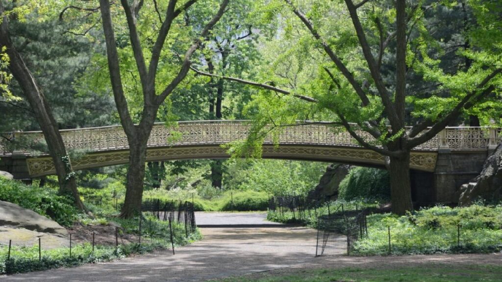 Il Pineback Arch a Central Park New York