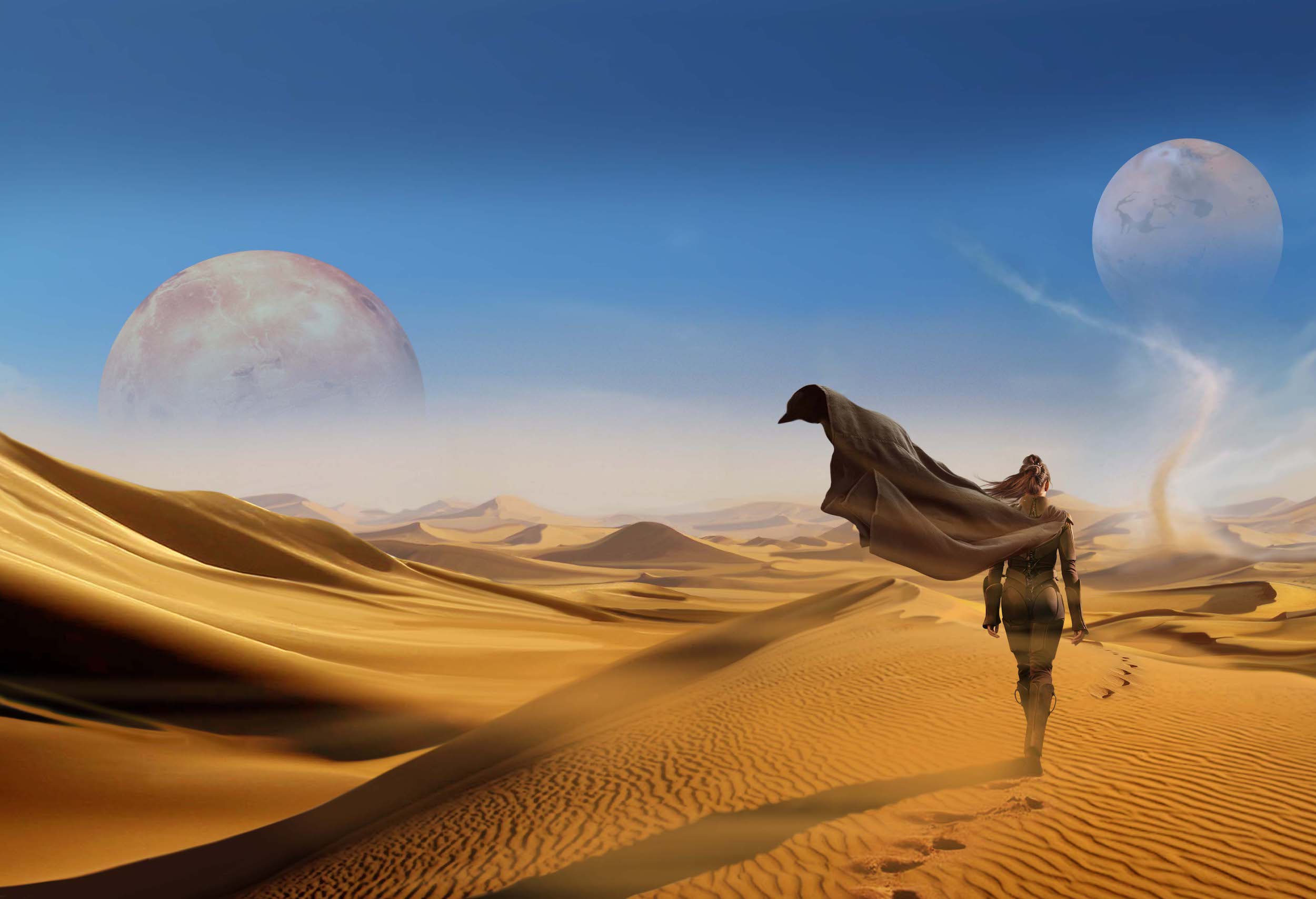La copertina di Winds of Dune
