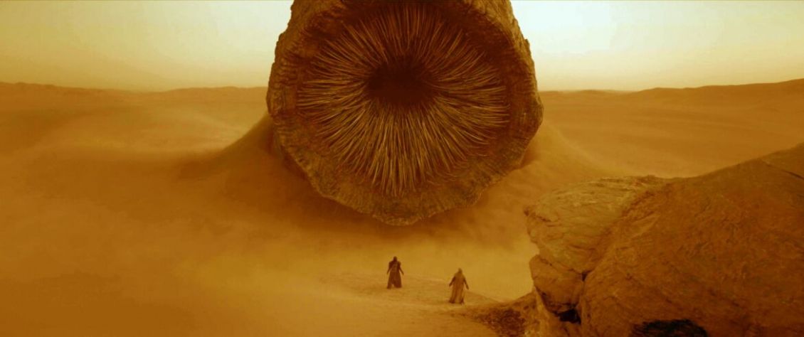 Un Verme delle Sabbie dal Dune di Dennis Villeneuve