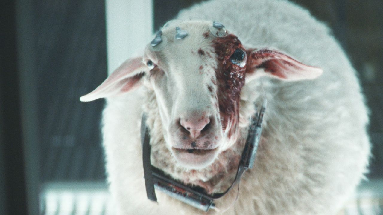 La pecora killer in una scena di Alien Pianeta Terra