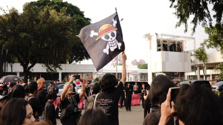 Bandiera di One Piece nelle proteste pro Palestina