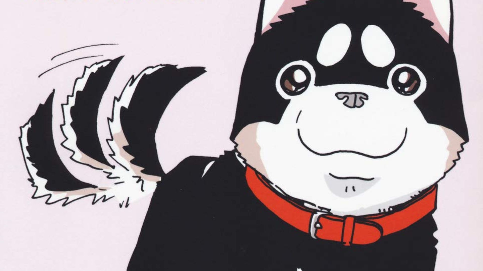 kota, il cane che vive con noi, j-pop manga © amazon.it