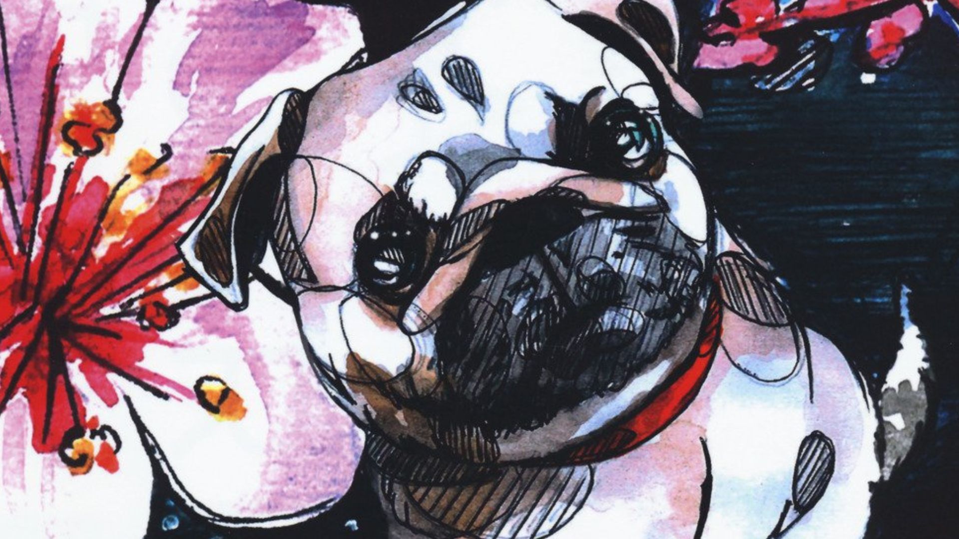 Il cane che guarda le stelle, J-POP manga © amazon.it