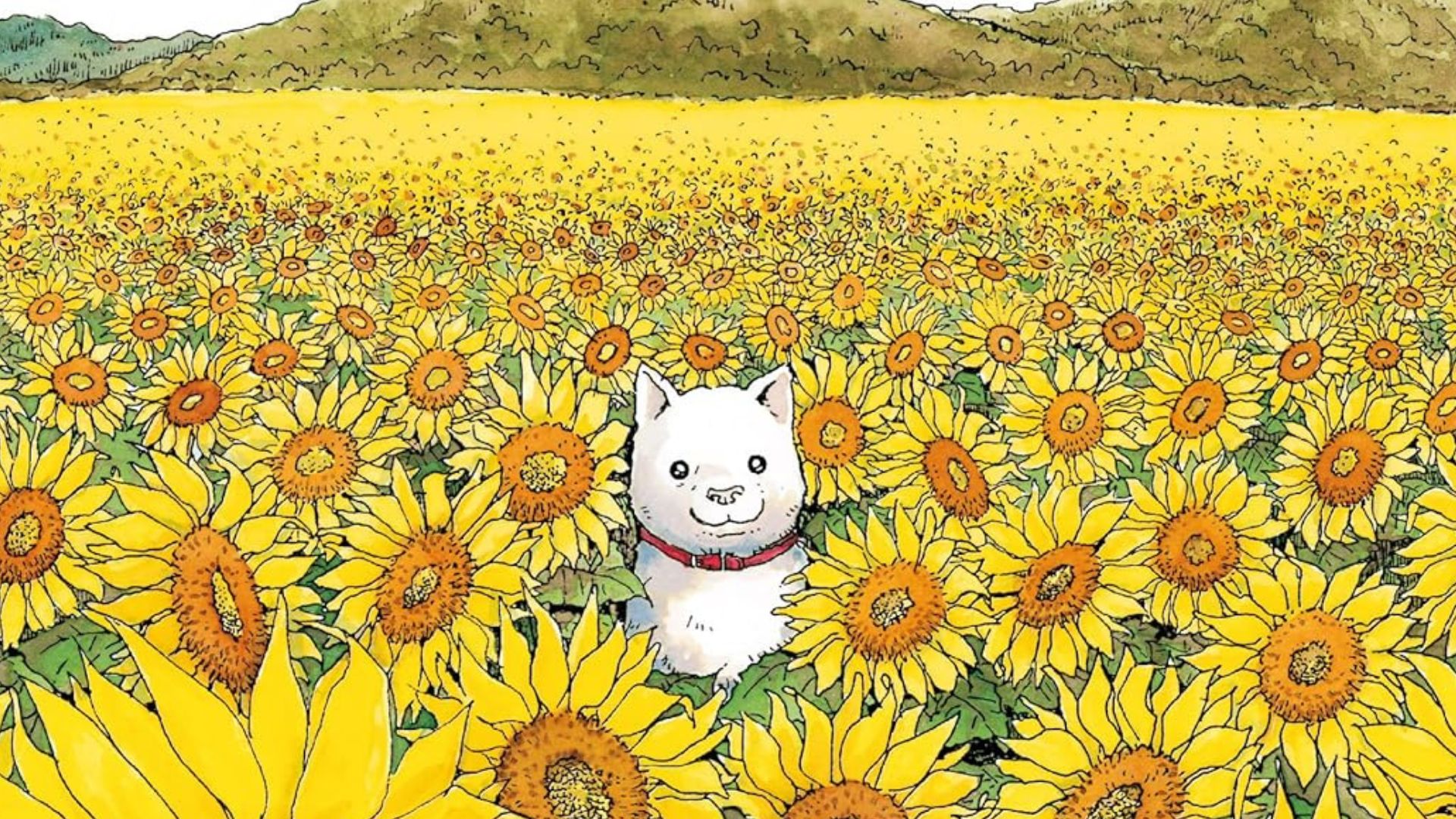 Il cane che guarda le stelle, J-POP manga © amazon.it