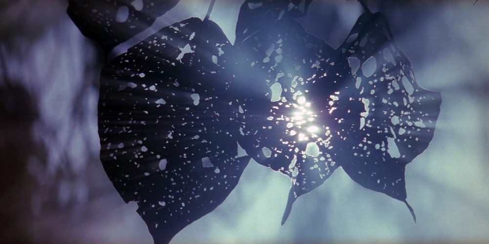 La sottile linea rossa 