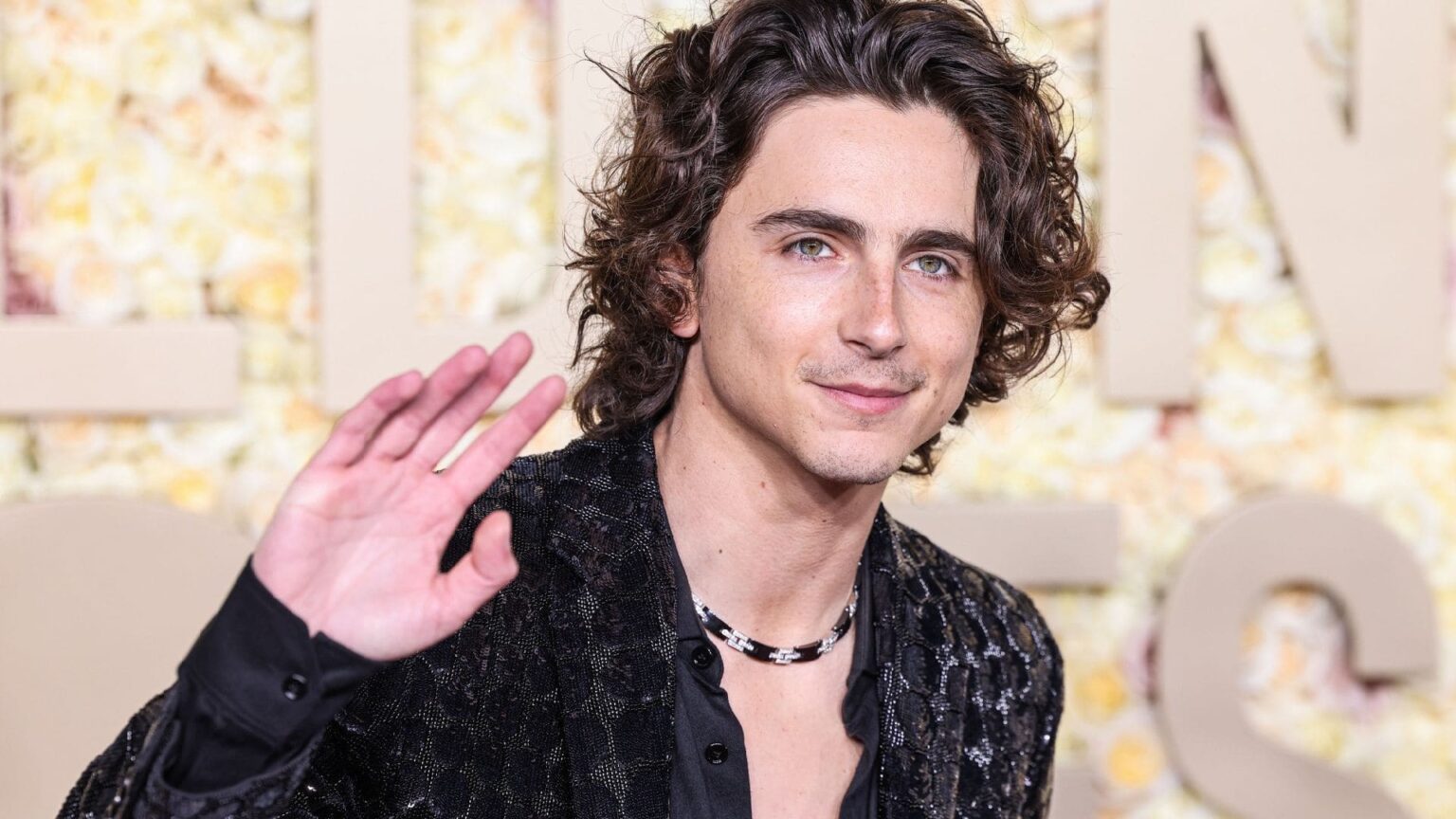 Timothée Chalamet