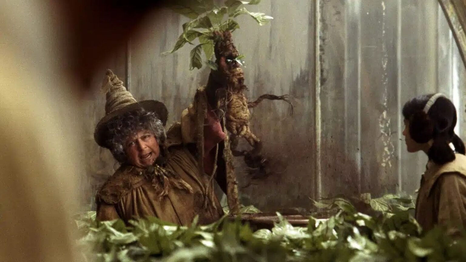 Miriam Margolyes, la professoressa Sprite di Harry Potter, boccia la serie: il commento senza peli sulla lingua Miriam Margolyes nel ruolo della Professoressa Sprite