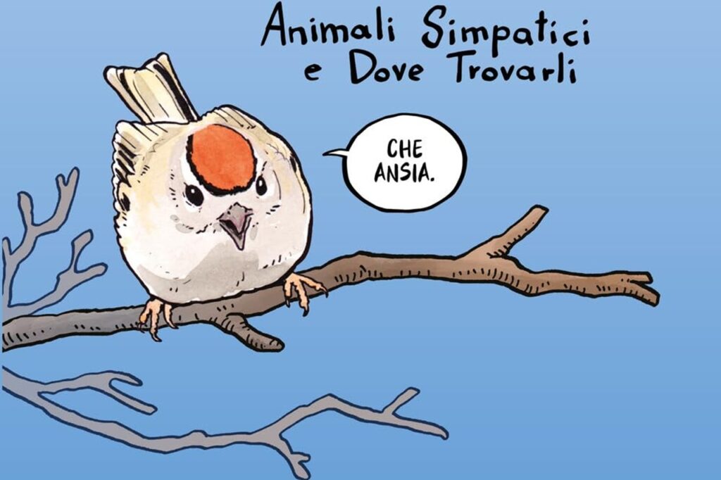 False Knees - ©Gigaciao