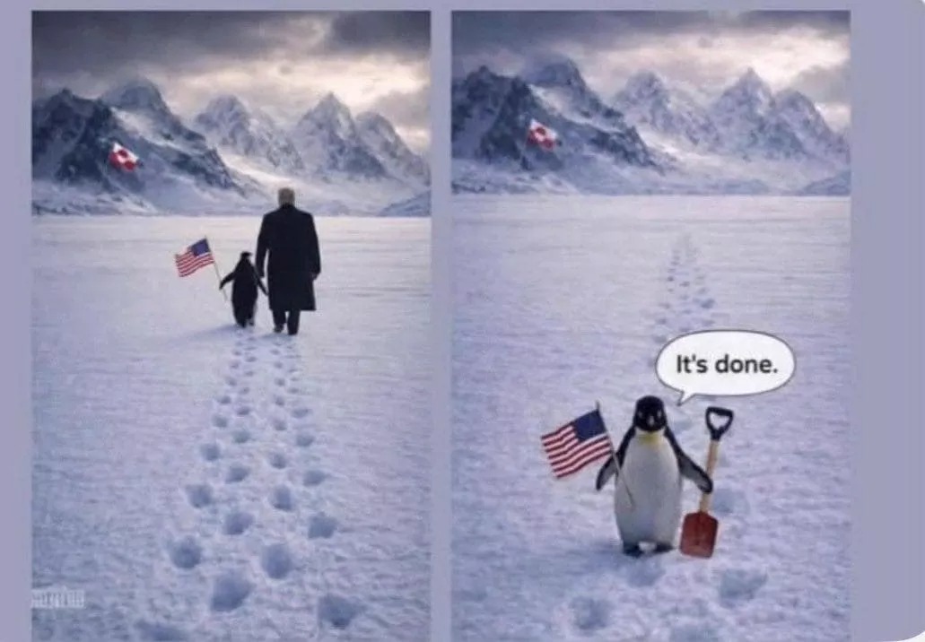 Meme sul pinguino e Donald Trump