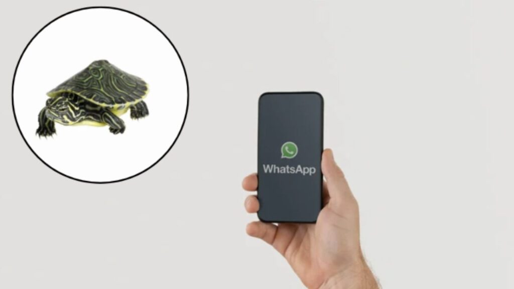 Tra le novità più apprezzate e rapidamente diffuse nel 2025 si segnala la cosiddetta “modalità tartaruga”, un’opzione che consente di sostituire l’icona