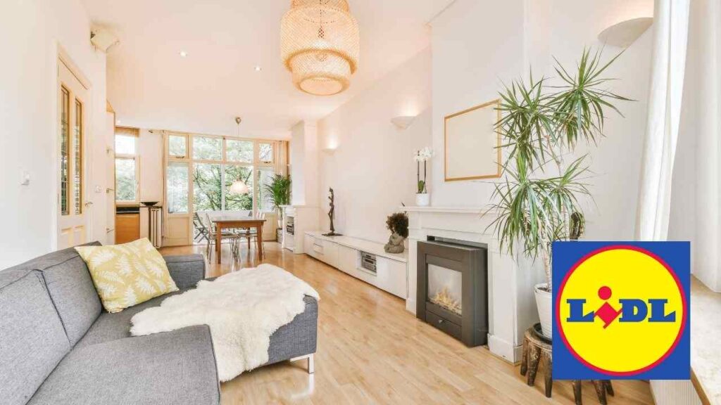 Lidl, offerta bomba: accessori tech per la casa a partire da 0.99€ attrezzi lidl offerta