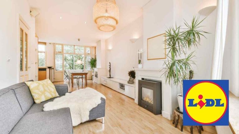 attrezzi lidl offerta