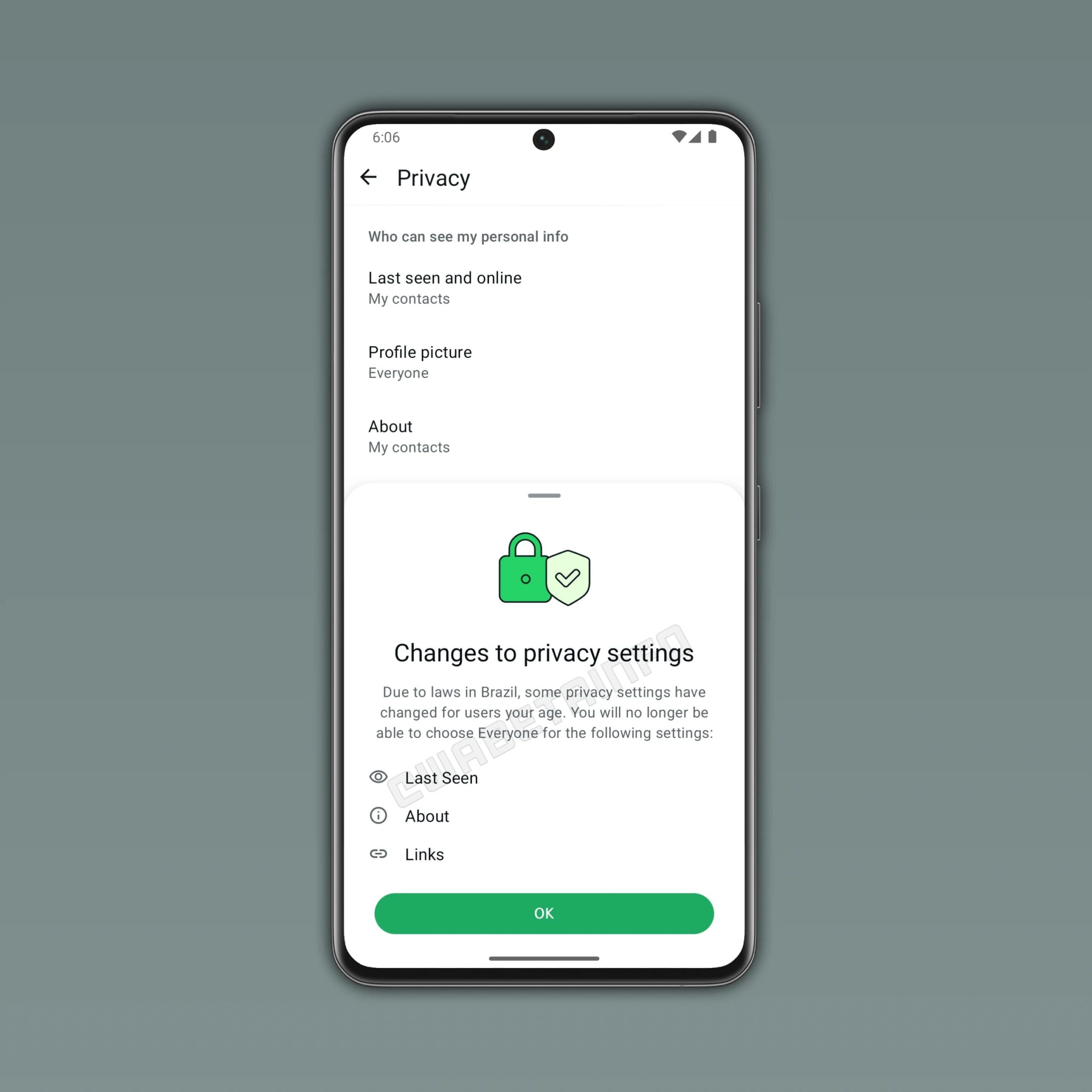 Nuove impostazioni della privacy per i minorenni su Whatsapp