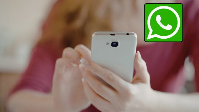Spunte blu WhatsApp, ecco il trucco segreto per disattivarle solo per alcune persone Donna smartphone logo WhatsApp