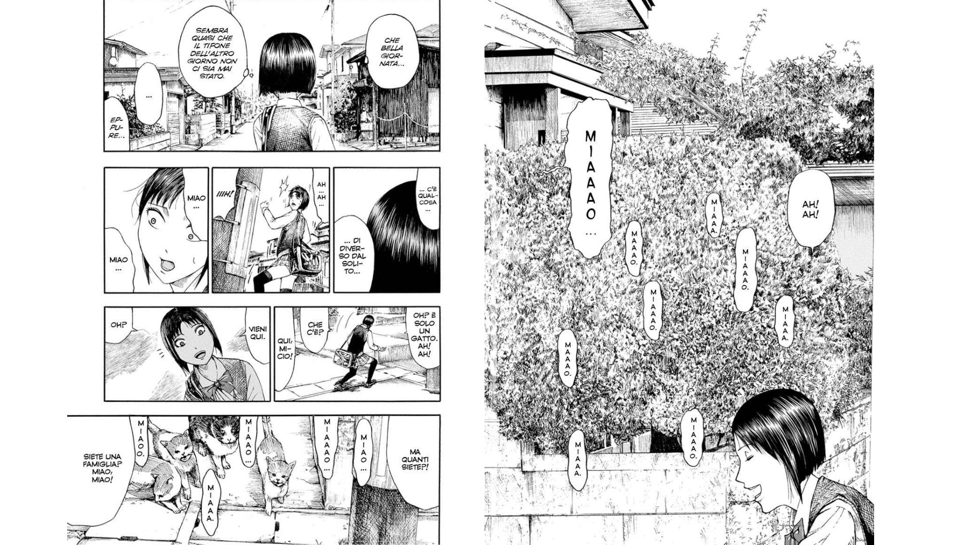 la senpai immortale © amazon.it