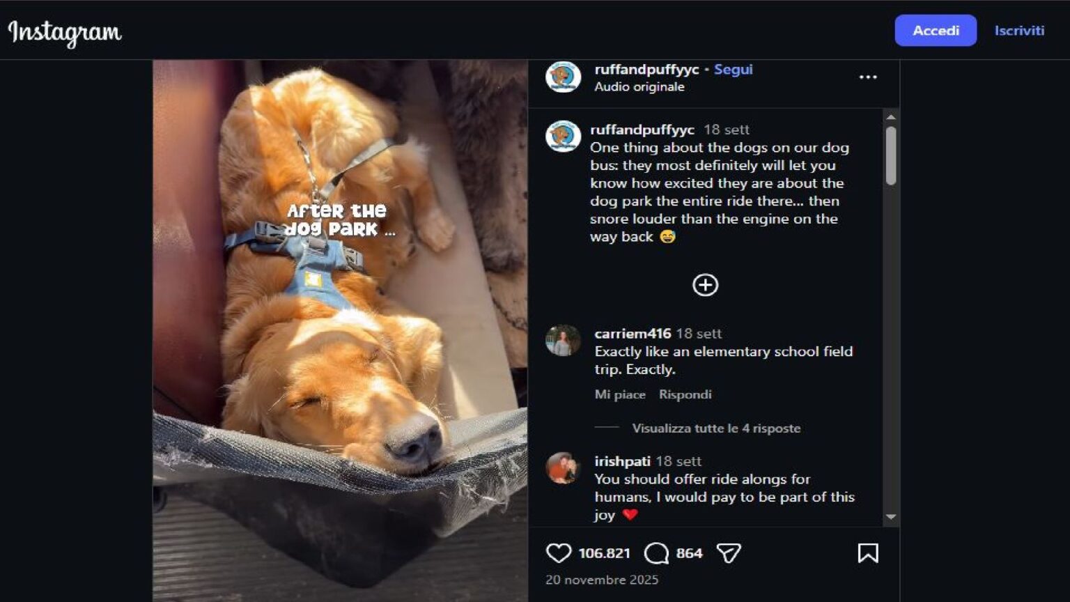 Bus dei cani in Alaska - Instagram