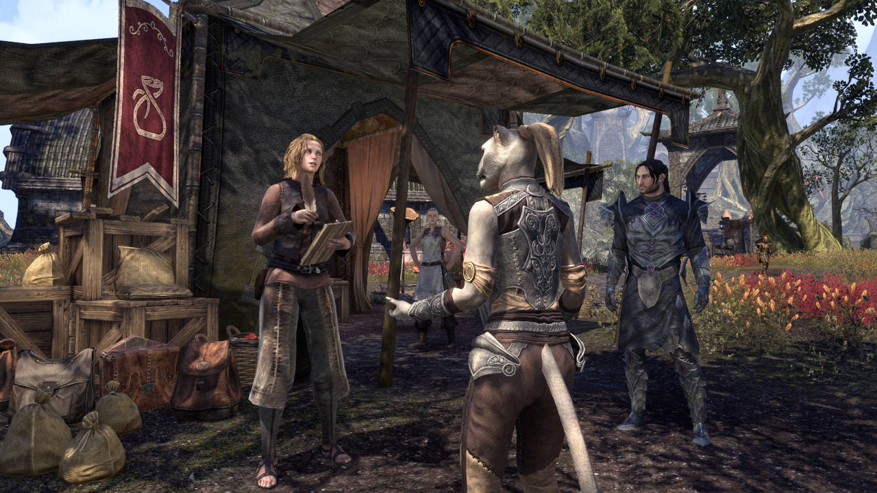 Una sequenza di gioco di The Elder Scrolls Online