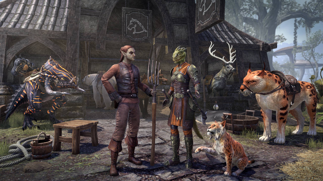 Una sequenza di gioco di The Elder Scrolls Online