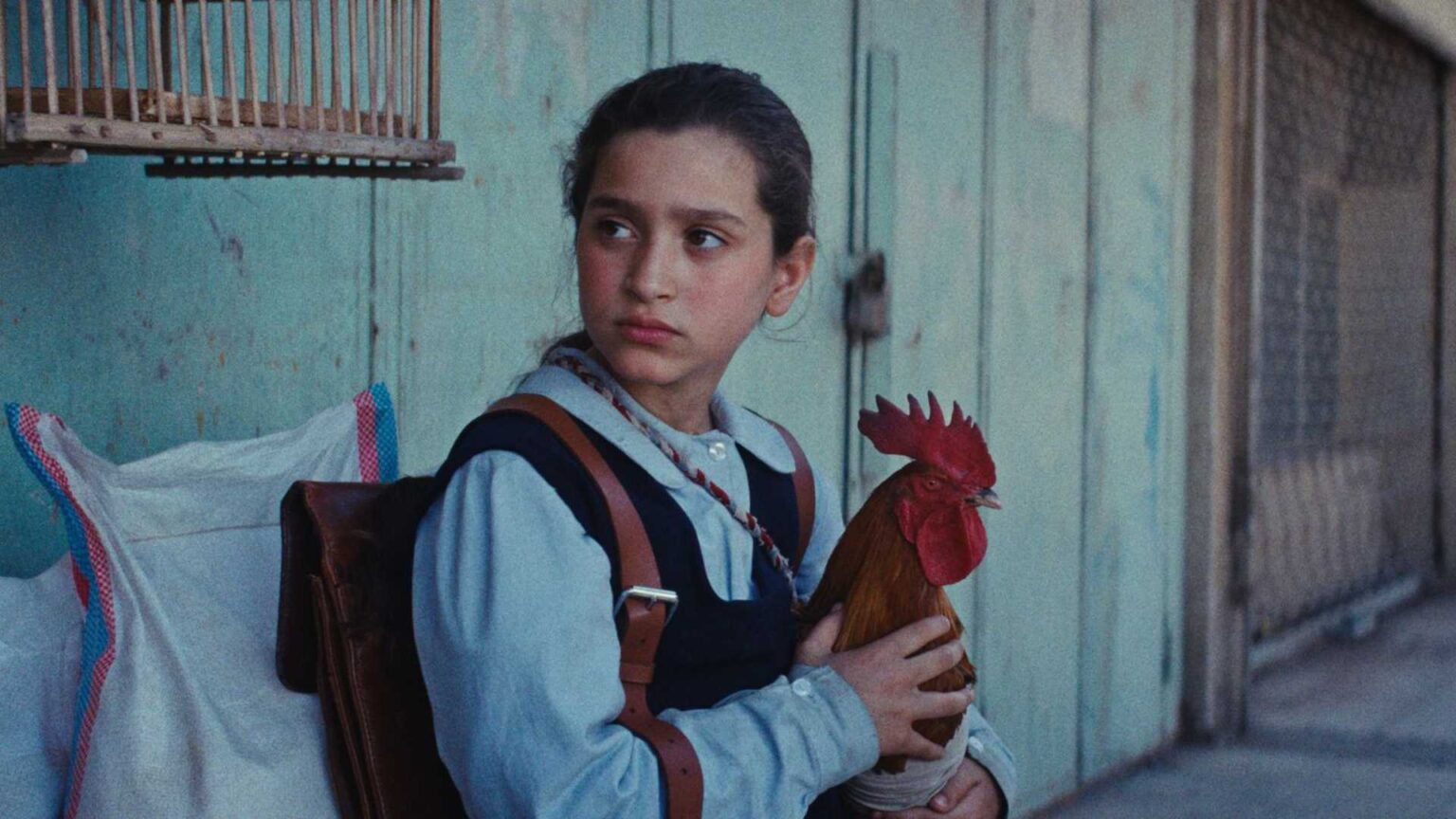 La Torta del Presidente, il racconto neorealista dell’Iraq melanconica degli anni ’90 La torta del presidente: recensione