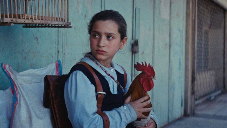 La torta del presidente: recensione