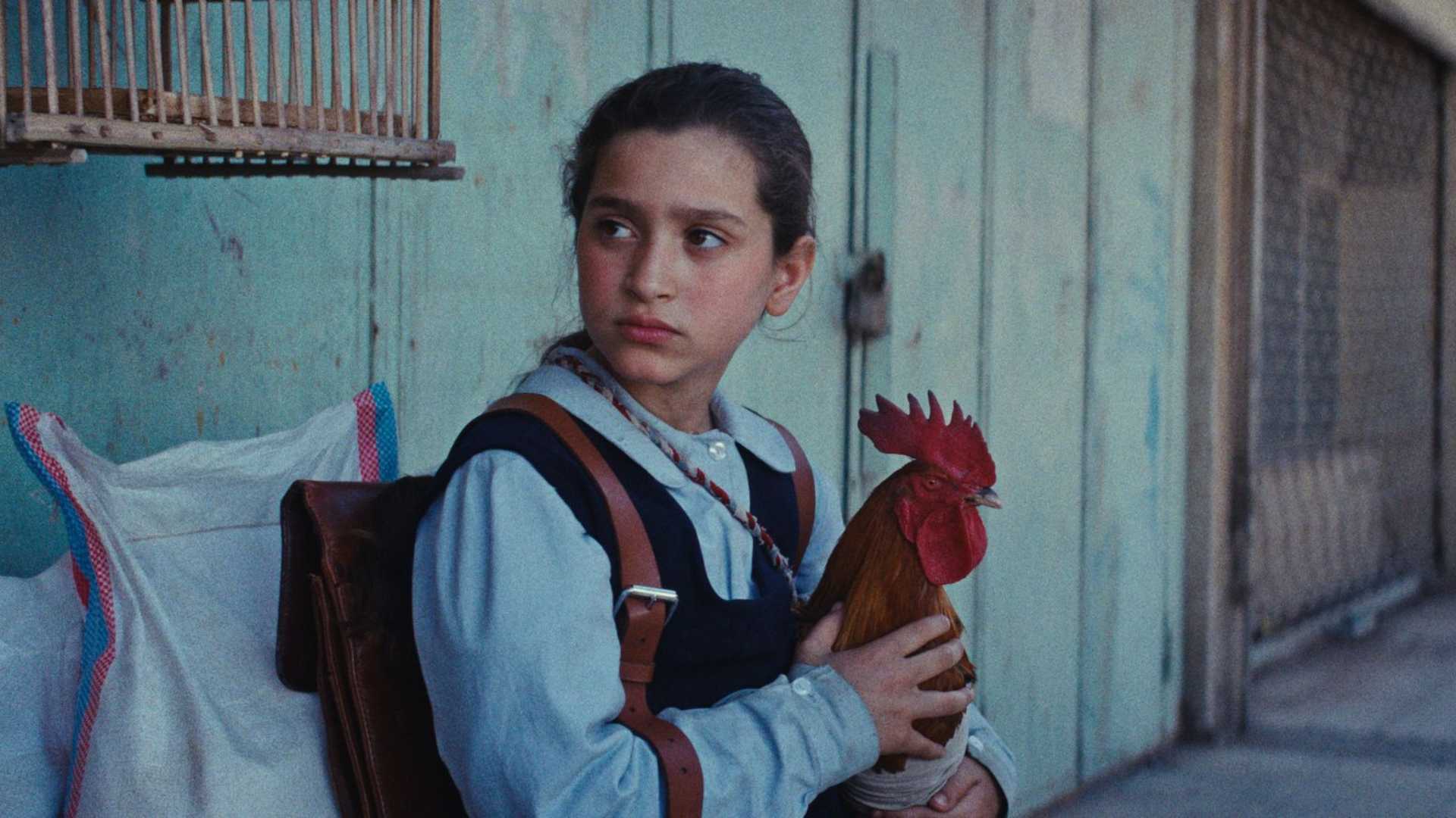 La Torta del Presidente, il racconto neorealista dell’Iraq melanconica degli anni ’90 La Torta del Presidente, il racconto neorealista dell’Iraq melanconica degli anni ’90