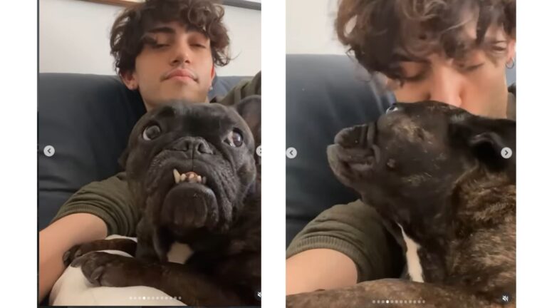 Michele Bravi dice addio al suo cane