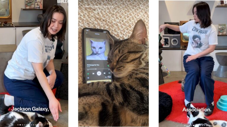 Mitski ha organizzato un listening party del suo nuovo disco solo per gatti