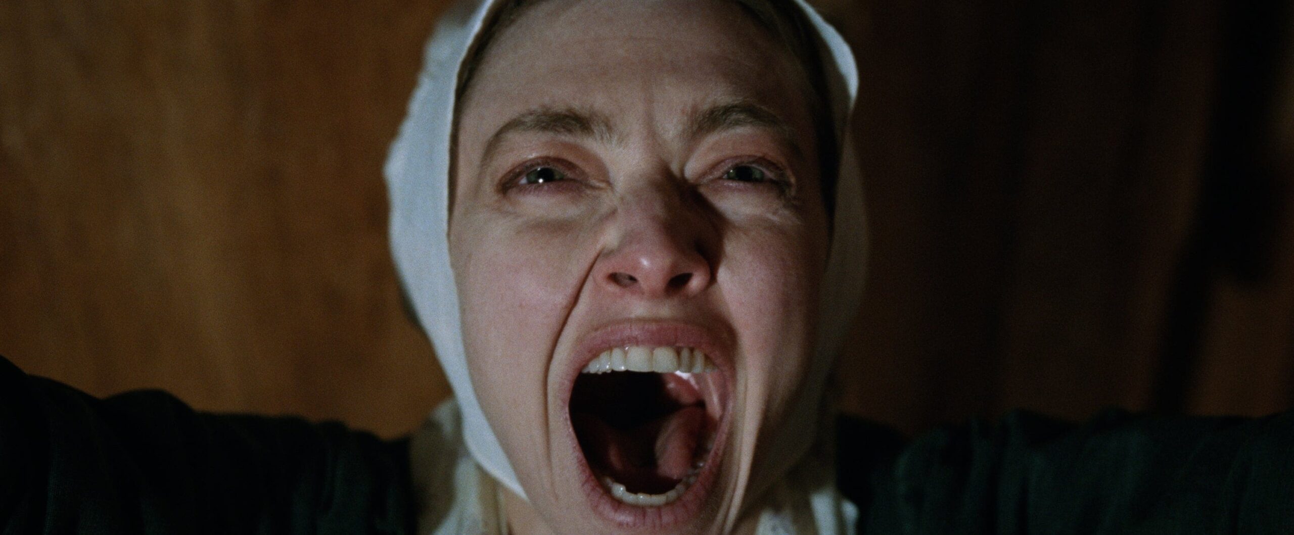 Amanda Seyfried in The Testament of Ann Lee.