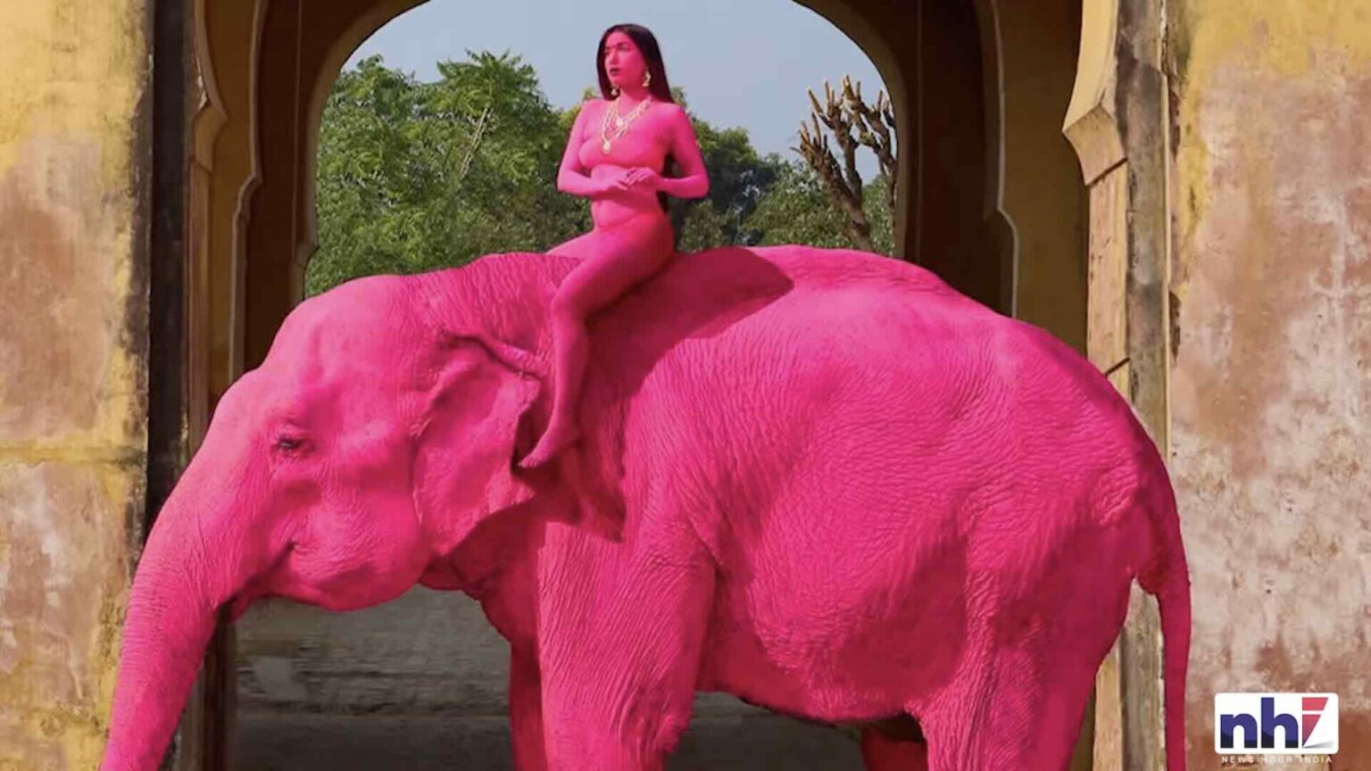 Elefante Rosa in India